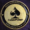 Personalised Metal Poker Card Protector